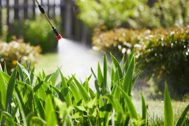 24/7 Emergency Mosquito Control experts in Otsego, MI